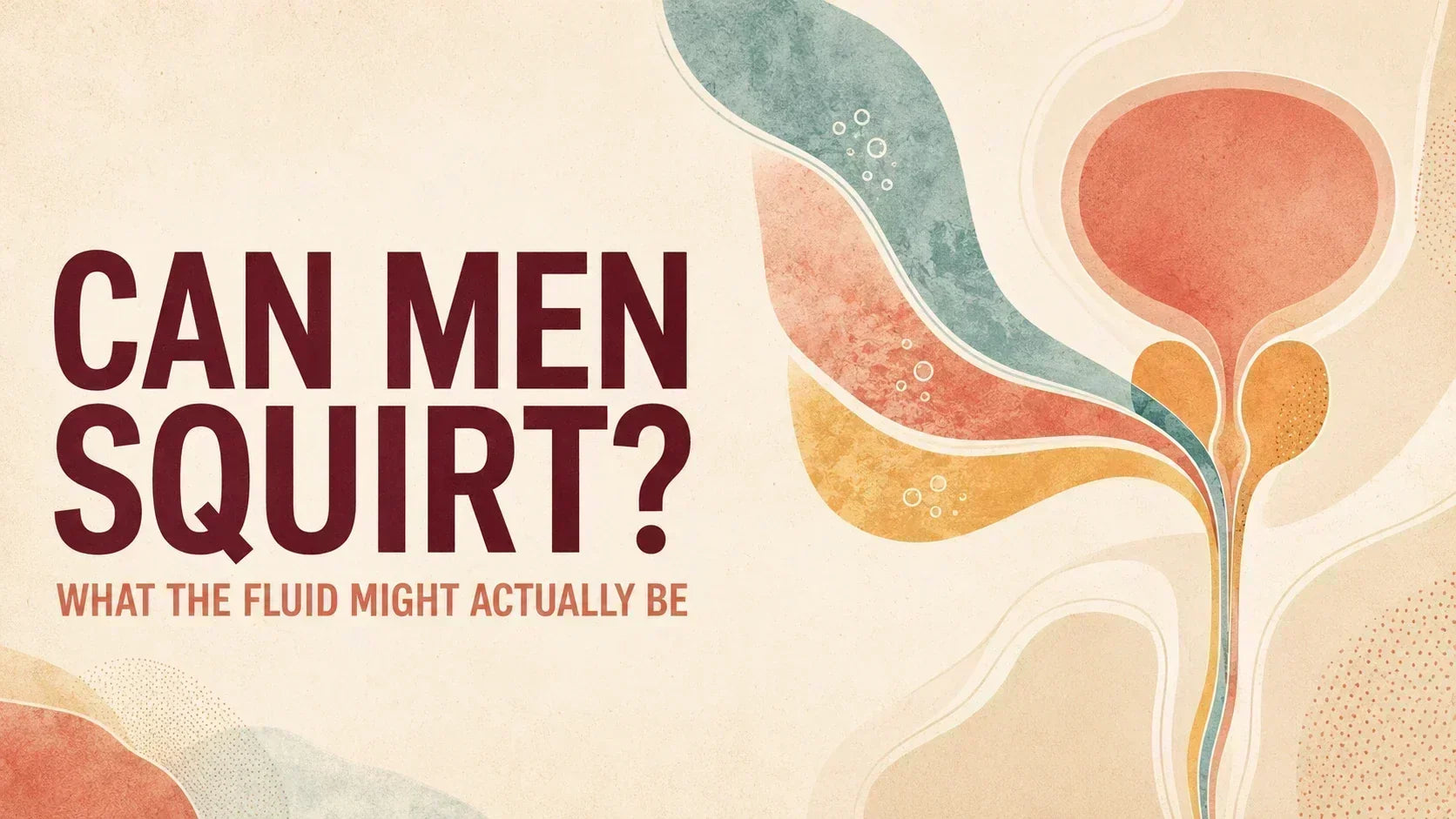 Image of Can Men Squirt blog cover with abstract bladder, prostate, and fluid pathways in a warm editorial style.