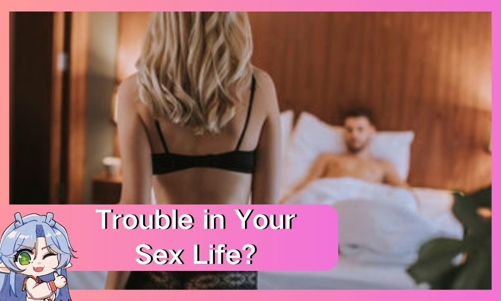 Image of Trouble in Your Sex Life: A Complete Guide to Causes and Countermeasures