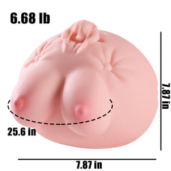 Dilip: Hentai Fantasy Torso Sex Doll Huge Tits Big Butt  MRLSEXDOLL