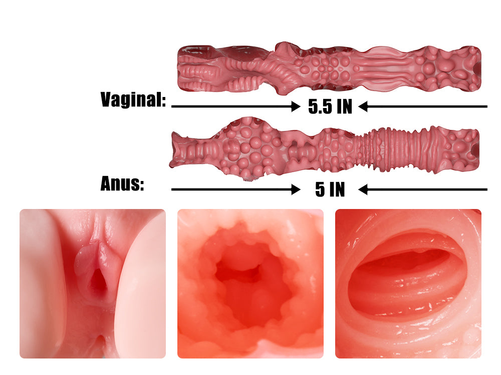 Image of Mini Emma: Mini Torso Sex Doll Muscle Girl Big Ass Porn